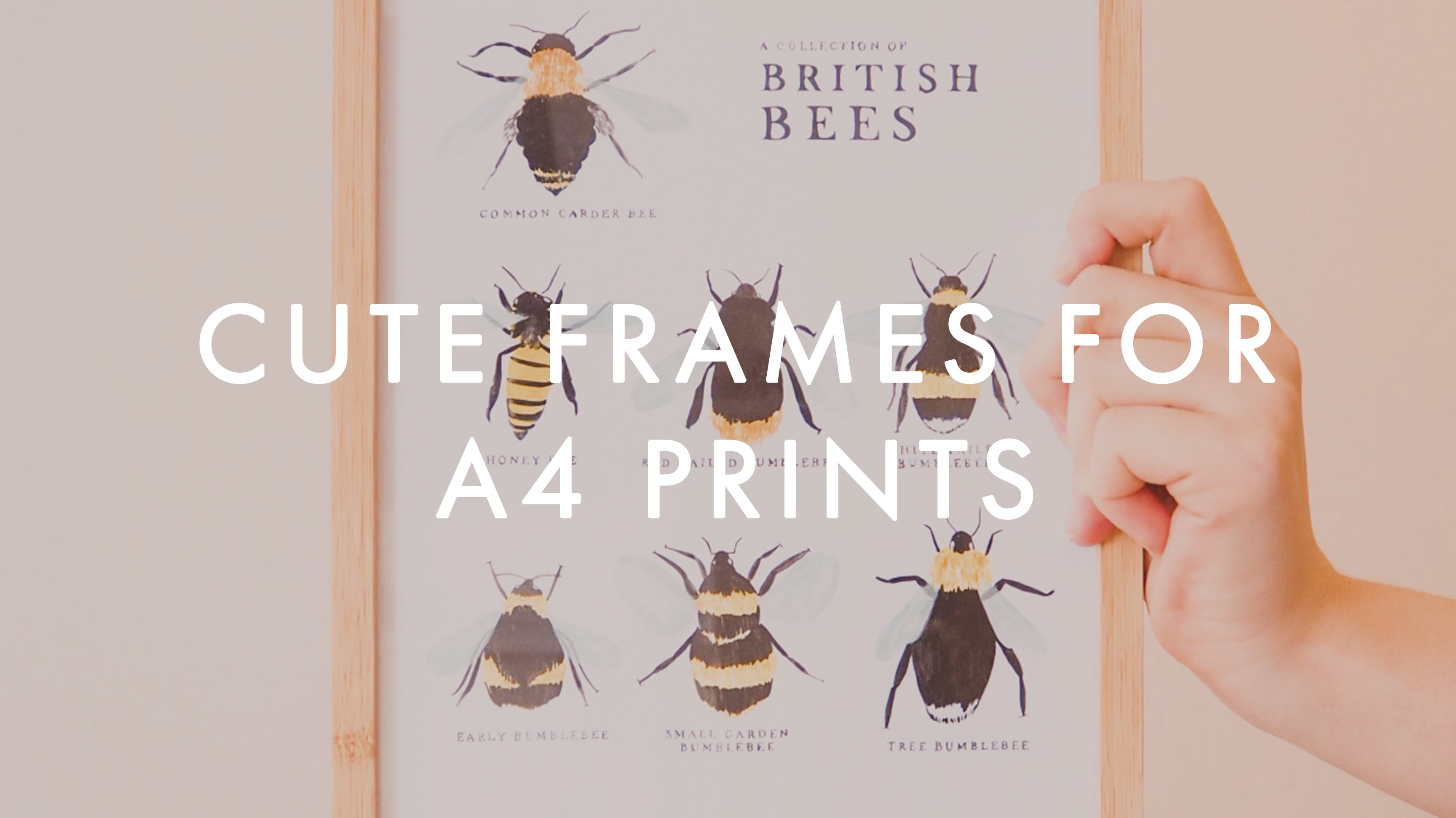 cute frames for A4 prints