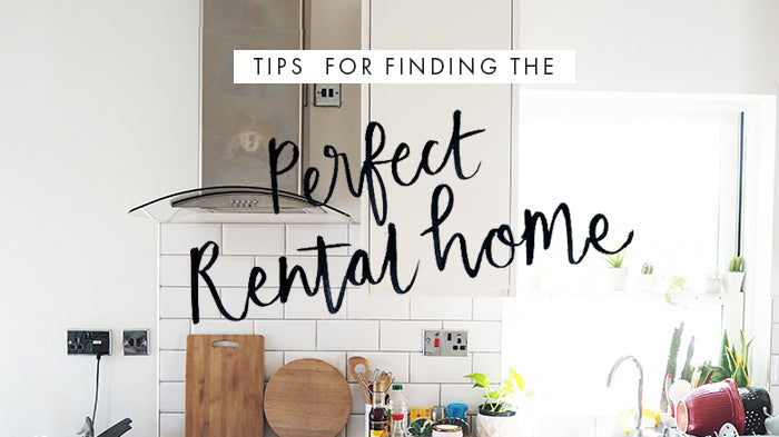 tips for finding the perfect rental home - actual practical advice and things to consider when renting in the UK (and specifically London) - Annie Dornan Smith | illustrated home and paper goods UK - anniedornansmith.co.uk