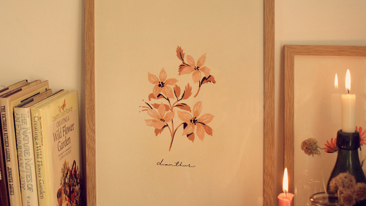 the homestead collection - inside the sketchbook