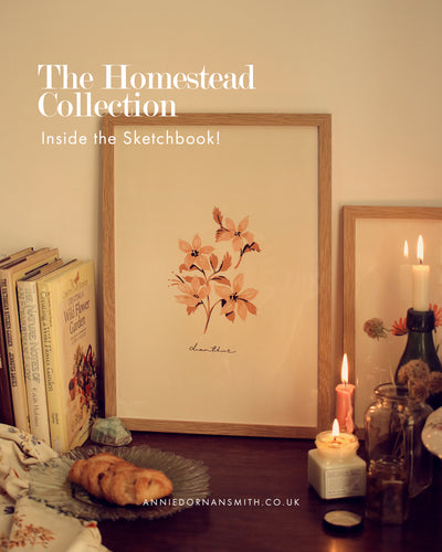 Inside the Sketchbook: The Homestead Collection