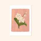 A Botanical Print Of A Cream Orchid On A Soft Pink Background - Annie Dornan Smith