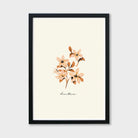 dianthus flower print in a black frame