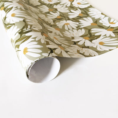 White Cornflower On A Light Green Background Rolled Wrapping Paper - Annie Dornan Smith