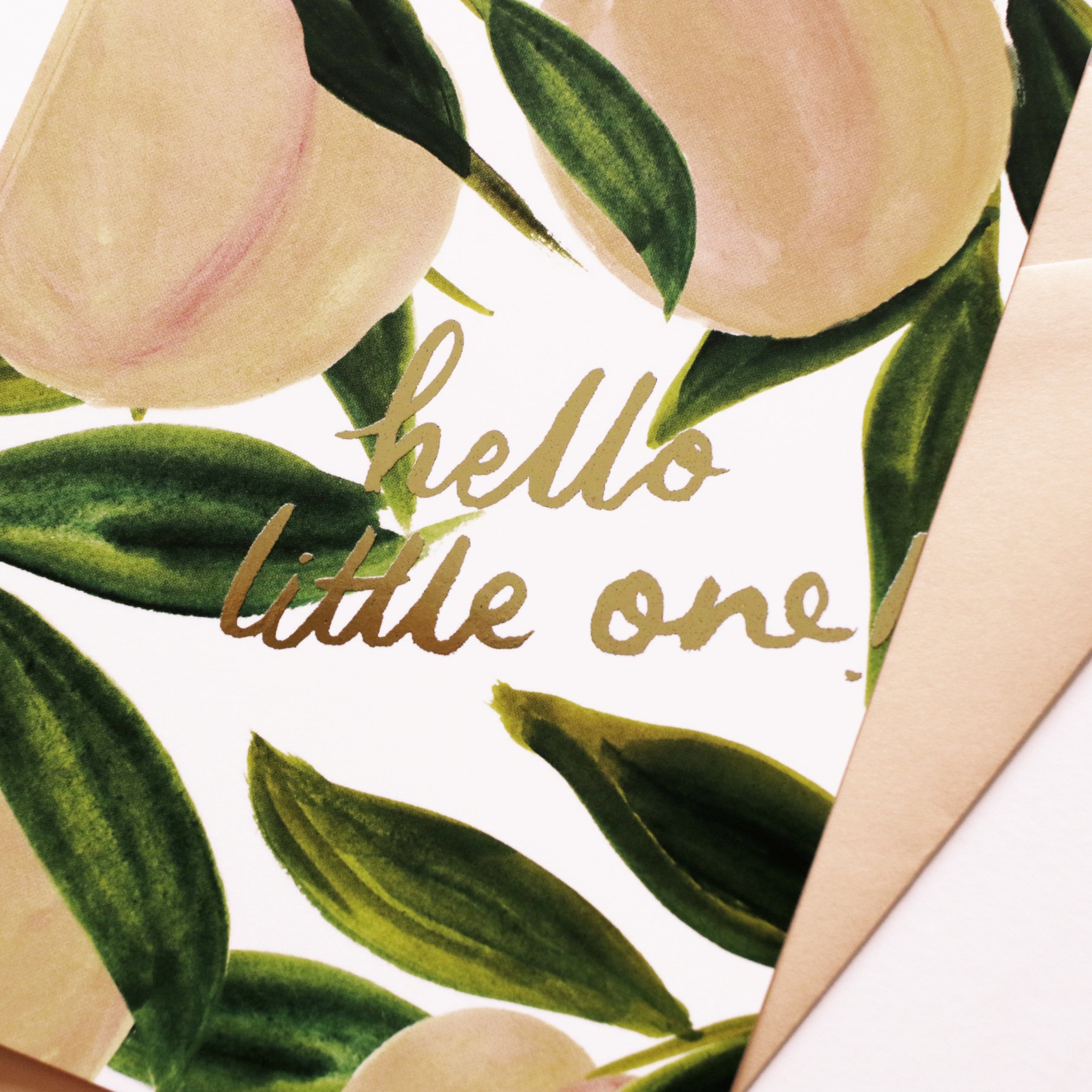 Illustrated Peach A6 Card With Hello Little One In Gold With A Peach Envelope - Annie Dornan Smith