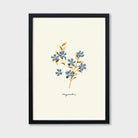 blue forget me not print in a black frame