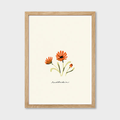 rudbeckia flower print in an oak frame