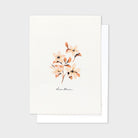Dianthus pink flower postcard