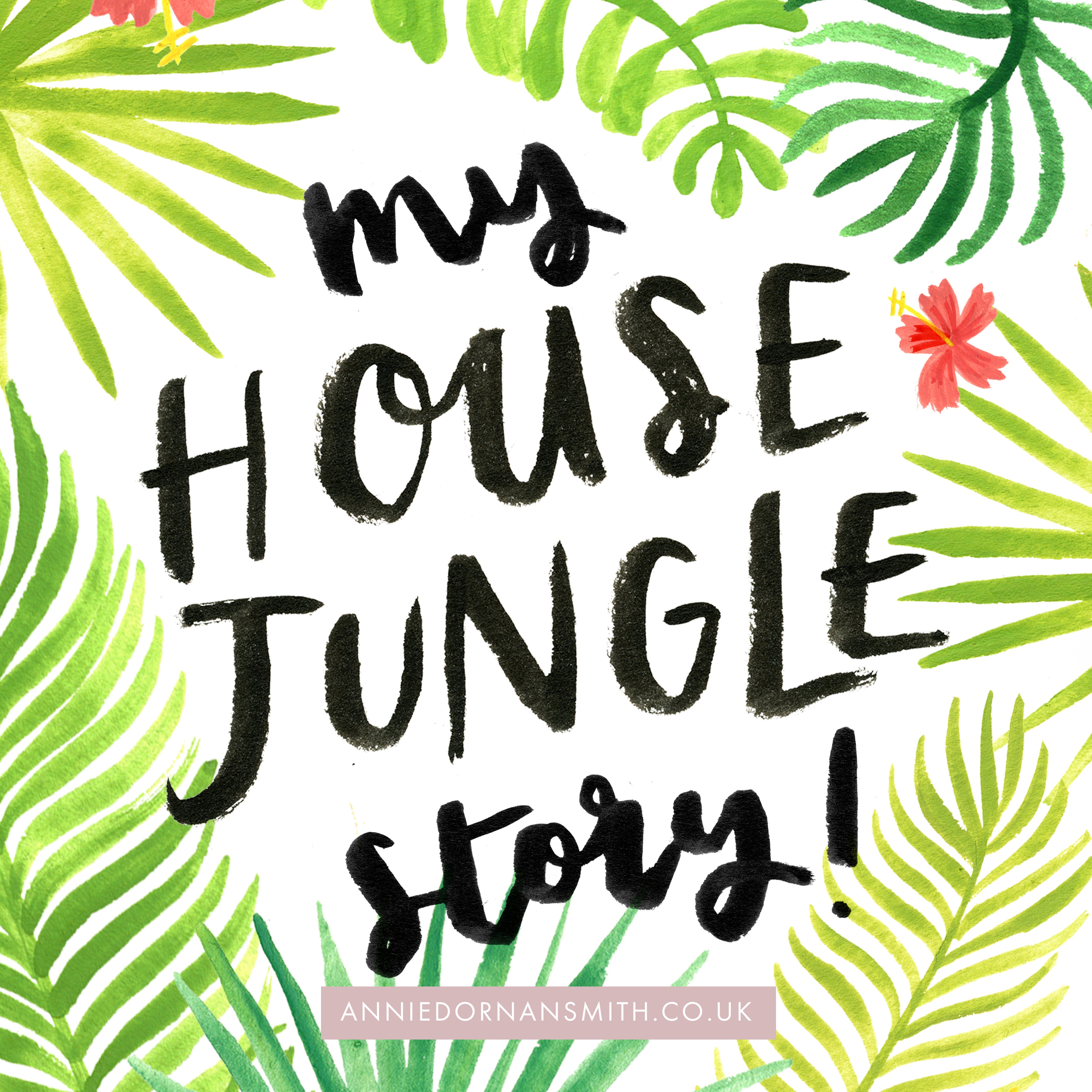 My House Jungle Story - how I ended up writing and illustrating a published book! - Annie Dornan Smith