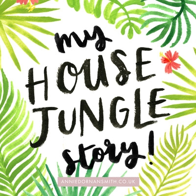 My House Jungle Story