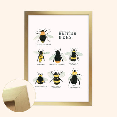 Bee Art Print - A Collection of British Bees
