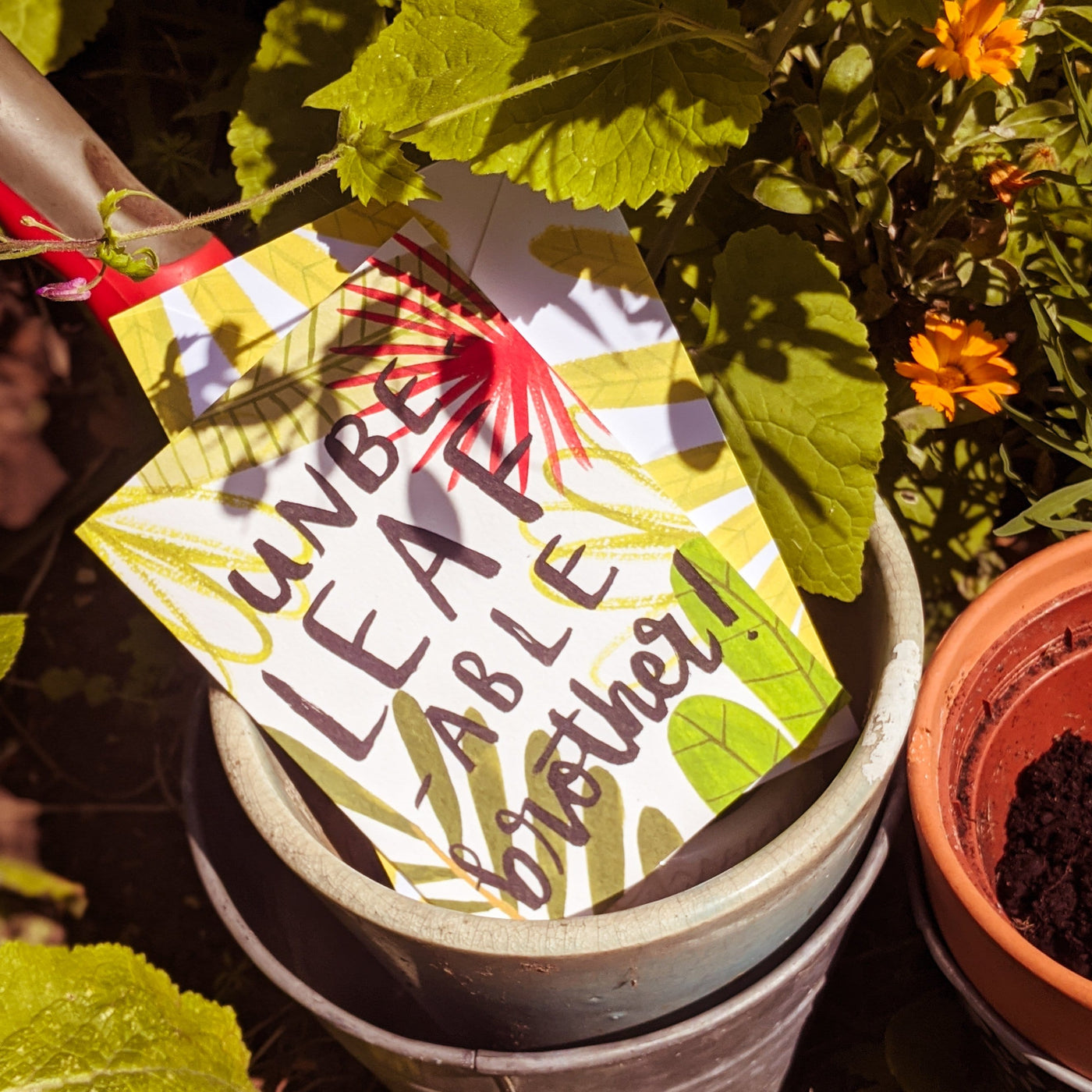 An Illustrated Leaf Greeting Card With The Words Have An Unbeleafable Brother In Brush Lettering On A Plant Pot - Annie Dornan Smith