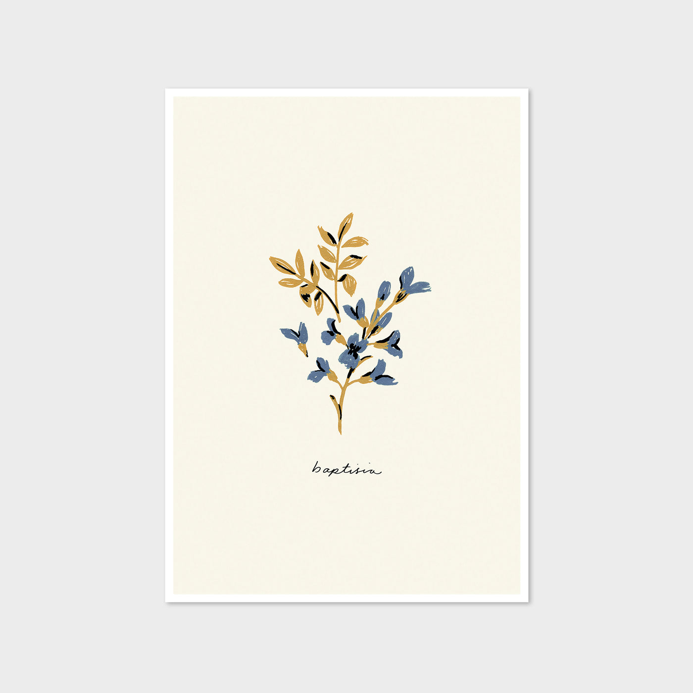 baptisia blue flower print