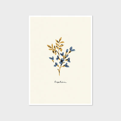 baptisia blue flower print