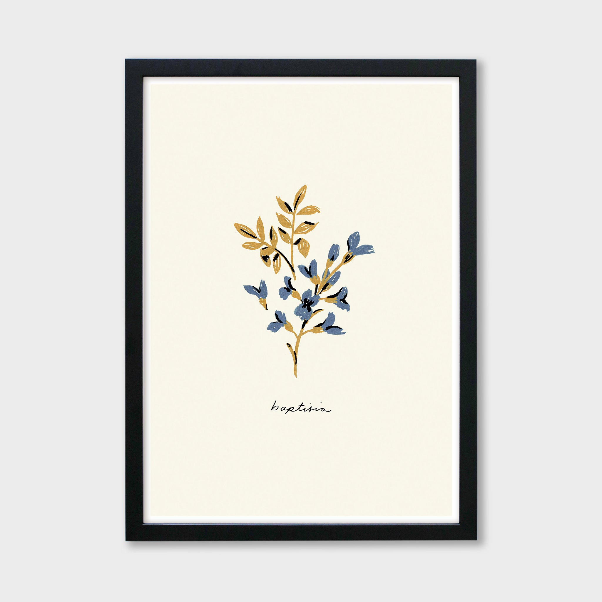 baptisia blue flower print in a black frame