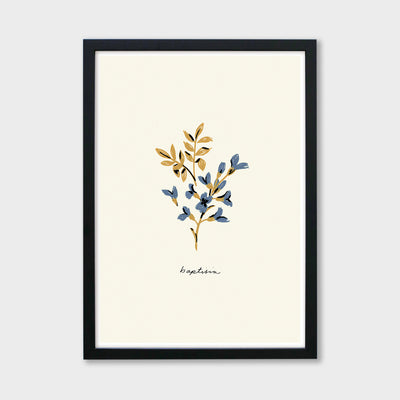 baptisia blue flower print in a black frame