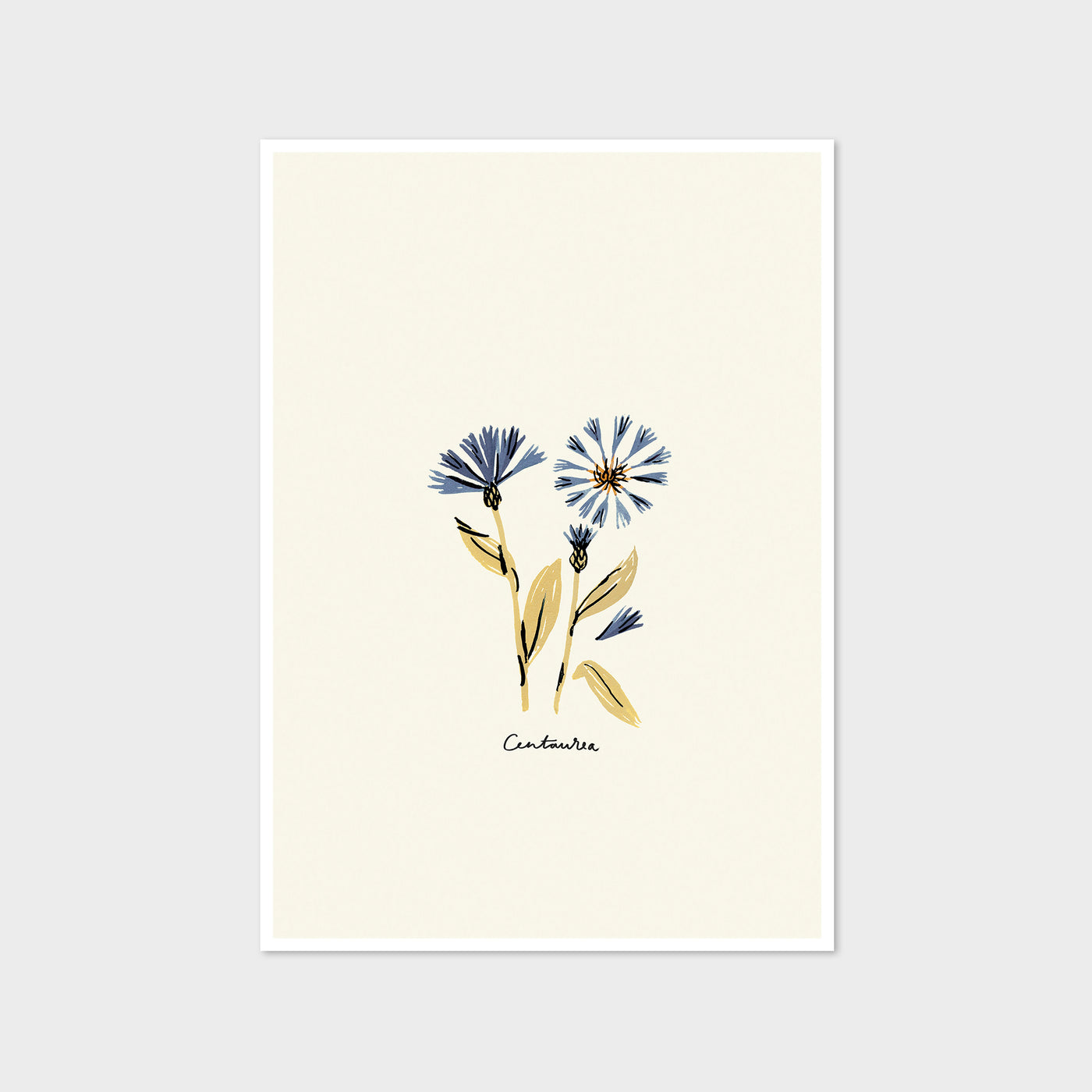 blue floral centurea print