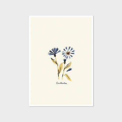 blue floral centurea print