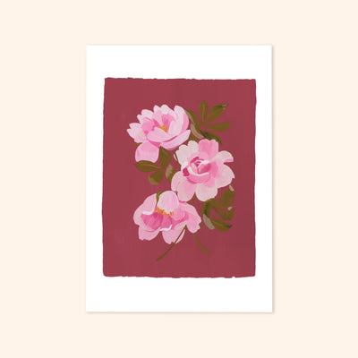 A Botanical Floral Print Of Three Pink Tea Roses On A Deep Pink Background - Annie Dornan Smith