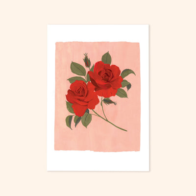 A Botanical Floral Print Of A Pair Of Red Roses On A Pink Background - Annie Dornan Smith