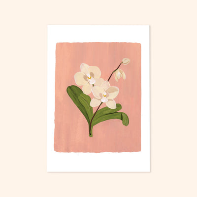 A Botanical Print Of A Cream Orchid On A Soft Pink Background - Annie Dornan Smith