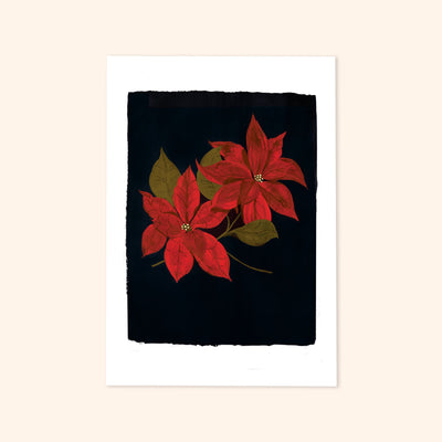 A print of two painted red Poinsettia flowers on a black background - Annie Dornan Smith