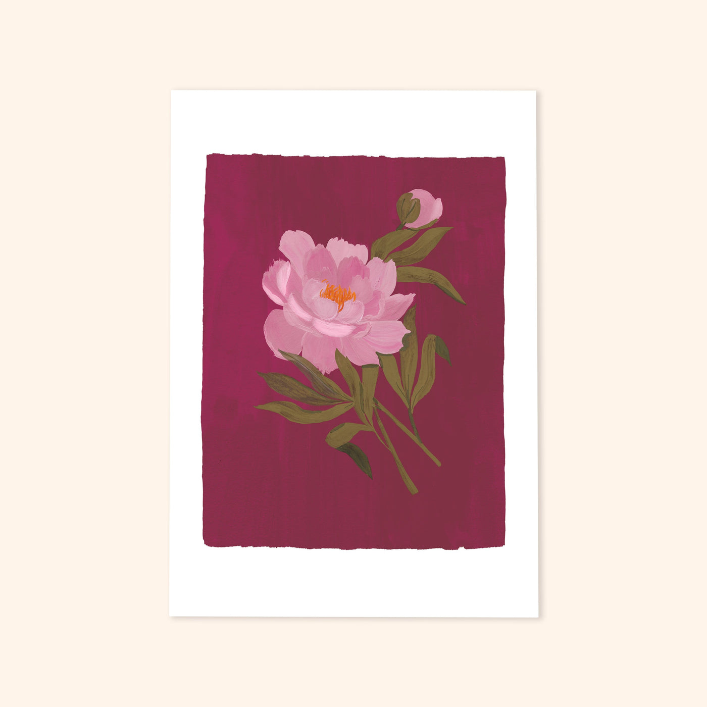 A Botanical Print Of A Pink Peony On A Burgundy Pink Background - Annie Dornan Smith