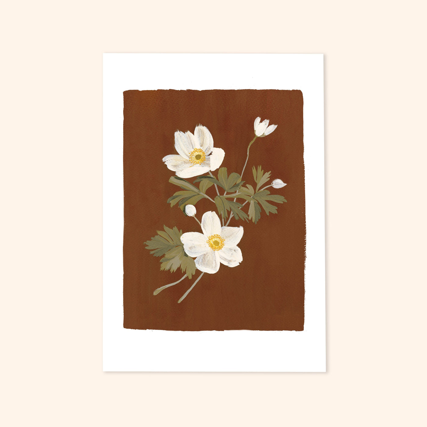 Brown Floral Botanical Art Print With Anemone Flowers - Annie Dornan Smith