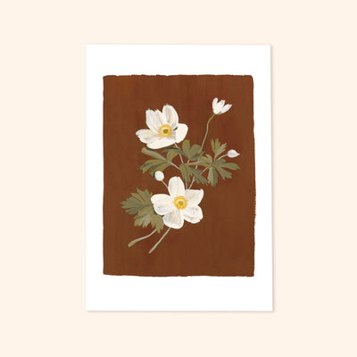 Brown Floral Botanical Art Print With Anemone Flowers - Annie Dornan Smith