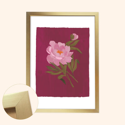 Pink Peony Floral Botanical Art Print