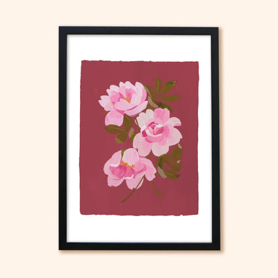 A Botanical Floral Print Of Three Pink Tea Roses On A Deep Pink Background In A Black Frame - Annie Dornan Smith