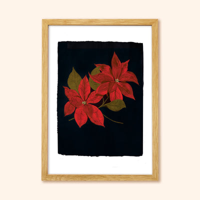 A print of two painted red Poinsettia flowers on a black background In Oak Frame - Annie Dornan Smith
