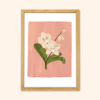 A Botanical Print Of A Cream Orchid On A Soft Pink Background In A Light Oak Frame - Annie Dornan Smith