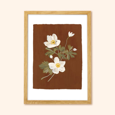 Brown Floral Botanical Art Print With Anemone Flowers In Oak Frame - Annie Dornan Smith