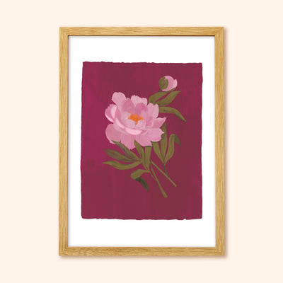 A Botanical Print Of A Pink Peony On A Burgundy Pink Background In A Light Oak Frame - Annie Dornan Smith