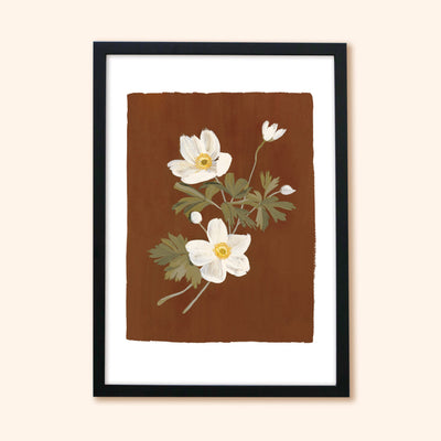 Brown Floral Botanical Art Print With Anemone Flowers In Black Frame - Annie Dornan Smith