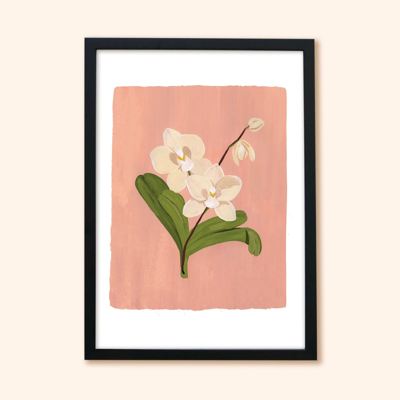 A Botanical Print Of A Cream Orchid On A Soft Pink Background In A Black Frame - Annie Dornan Smith