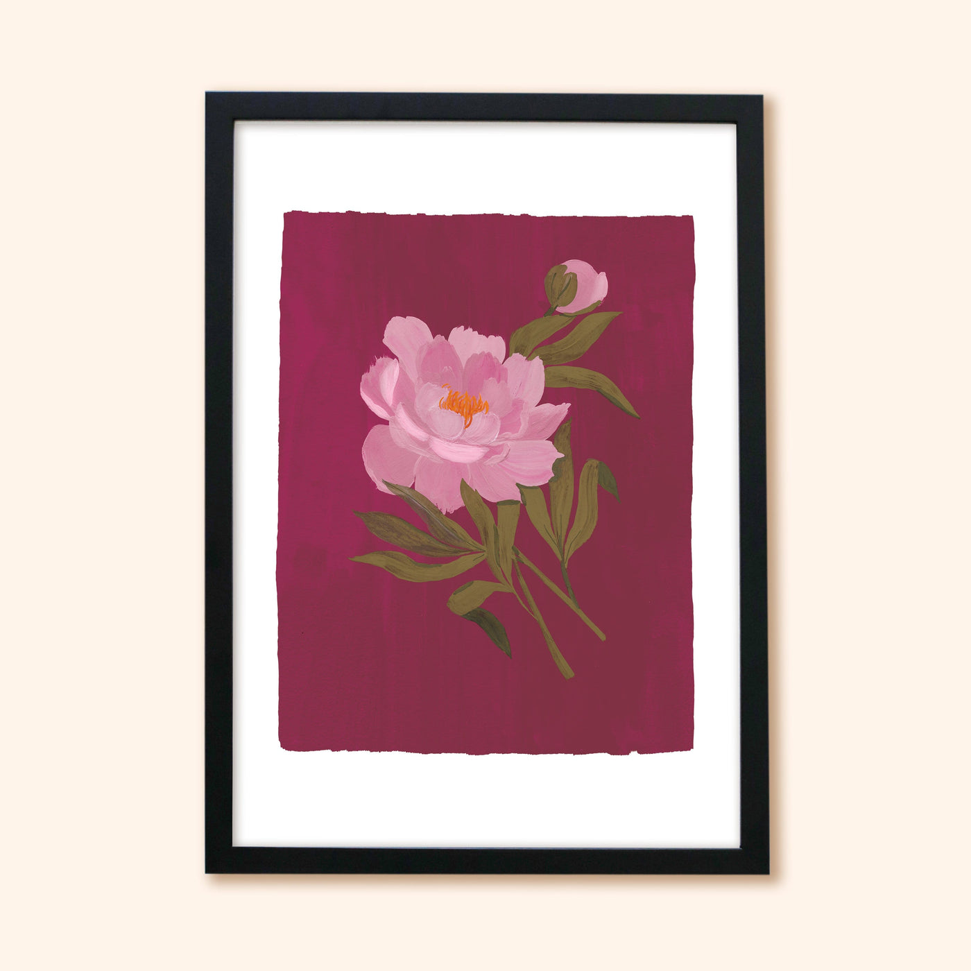 A Botanical Print Of A Pink Peony On A Burgundy Pink Background In A Black Frame - Annie Dornan Smith