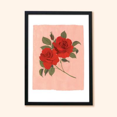 A Botanical Floral Print Of A Pair Of Red Roses On A Pink Background In A Black Frame - Annie Dornan Smith