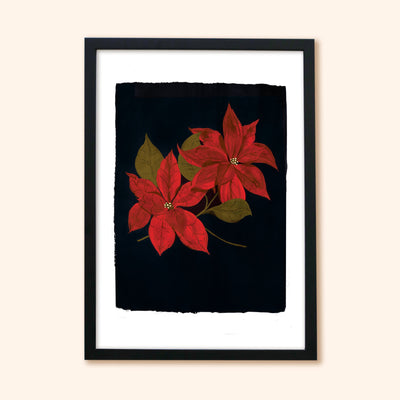 A print of two painted red Poinsettia flowers on a black background In Black Frame - Annie Dornan Smith