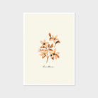 dianthus flower print
