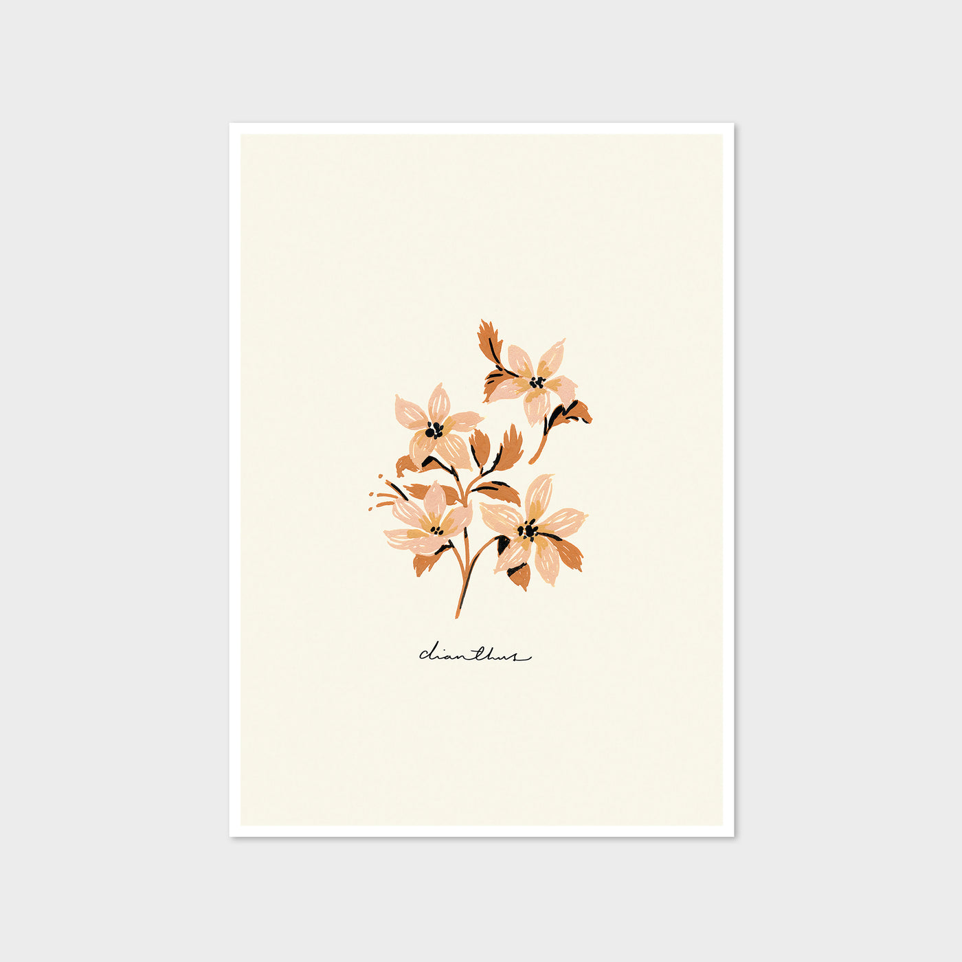 dianthus flower print