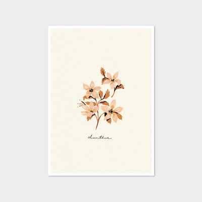 dianthus flower print