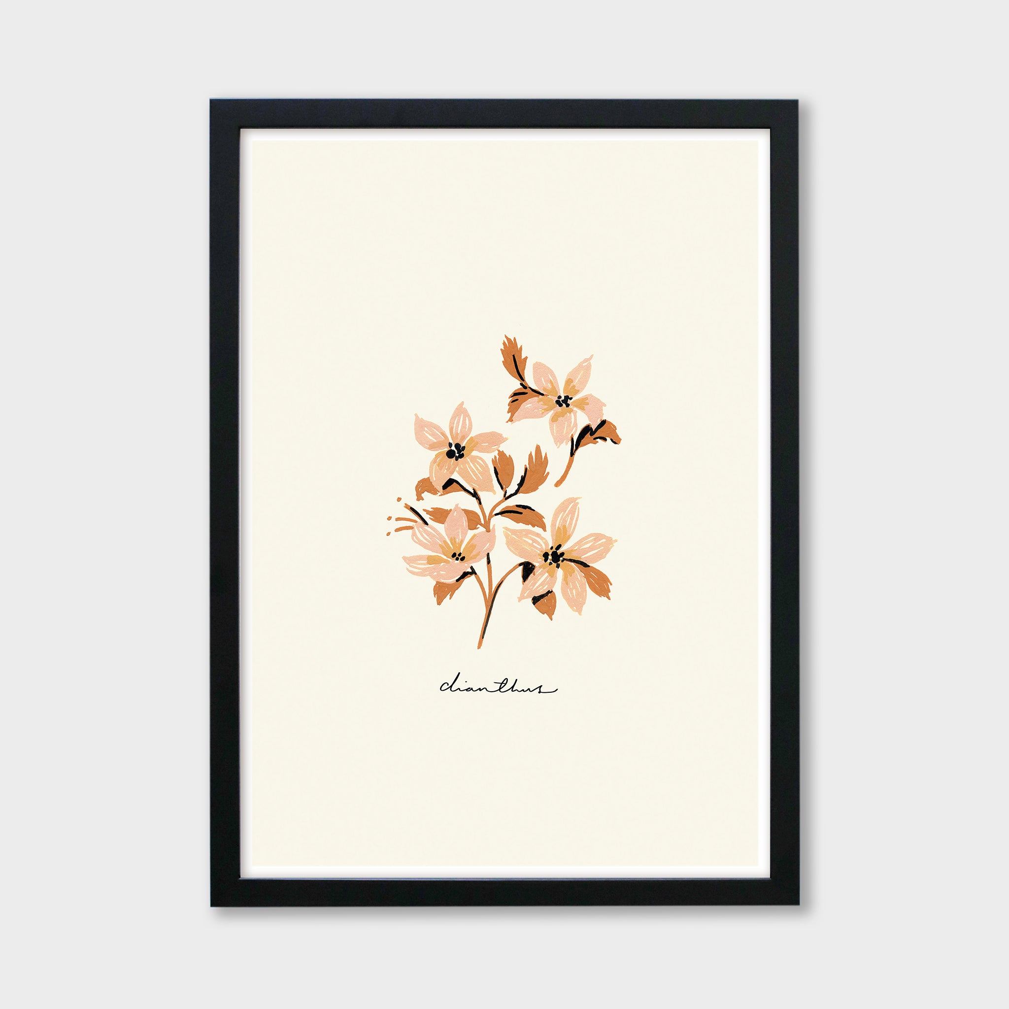 dianthus flower print in a black frame