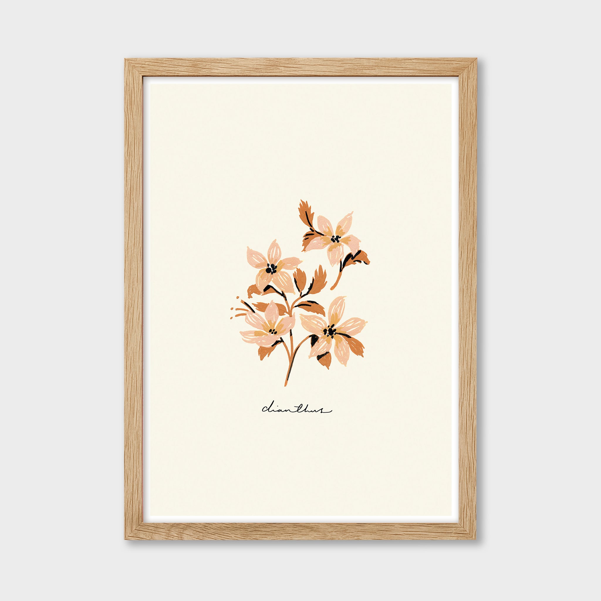 dianthus flower print in an oak frame