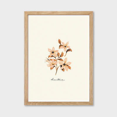 dianthus flower print in an oak frame