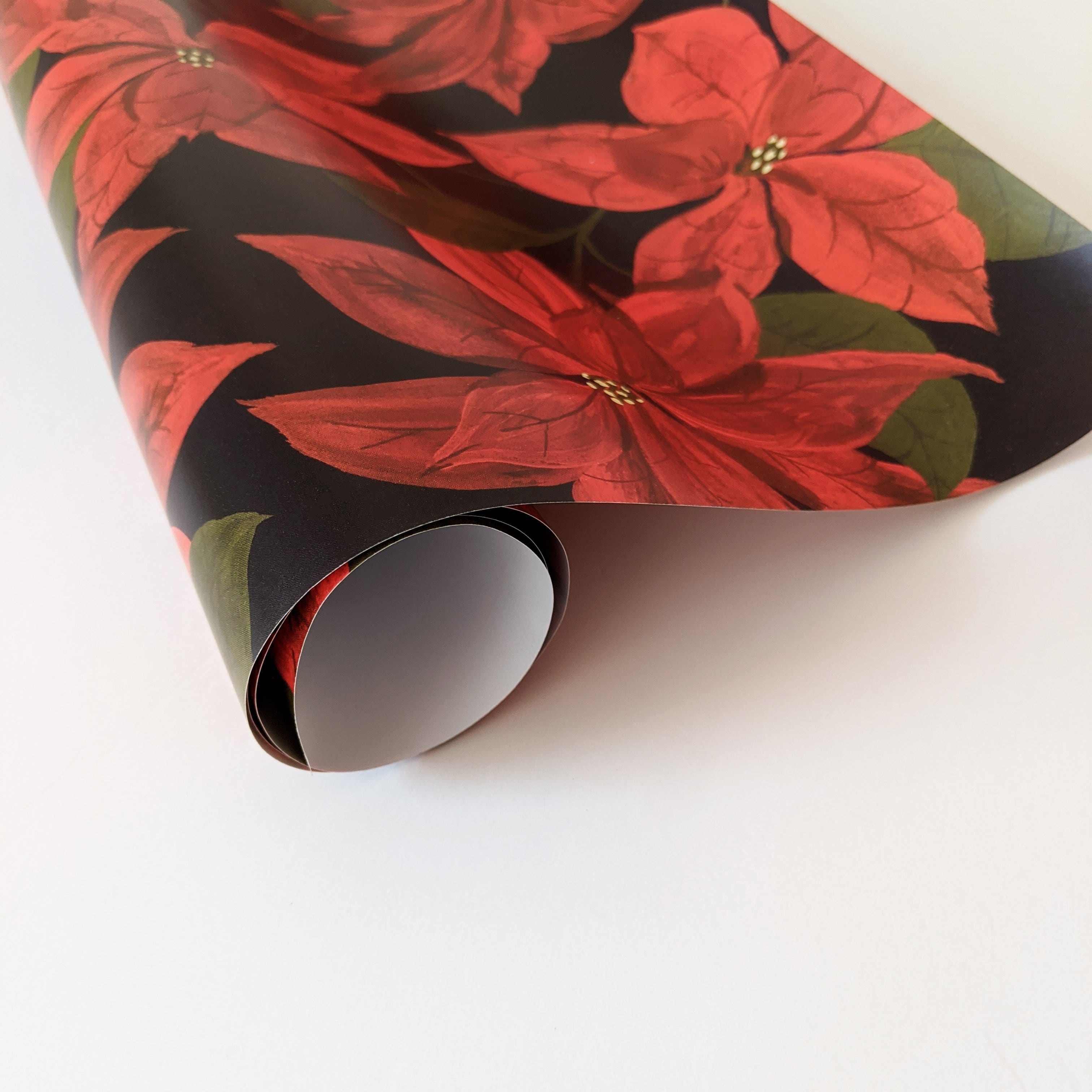 Red Poinsettias On A Black Background Christmas Rolled Wrapping Paper - Annie Dornan Smith