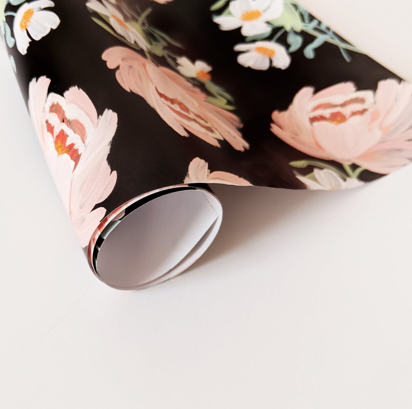 Rolled Illustrated Pink Peony Floral Wrapping Paper On A Black Background - Annie Dornan Smith