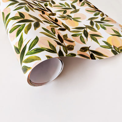 Illustrated Peach Rolled Wrapping Paper - Annie Dornan Smith