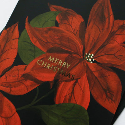 Red Poinsettia Illustration On A Black Merry Christmas Greetings A6 Card  With Black Envelope - Annie Dornan Smith