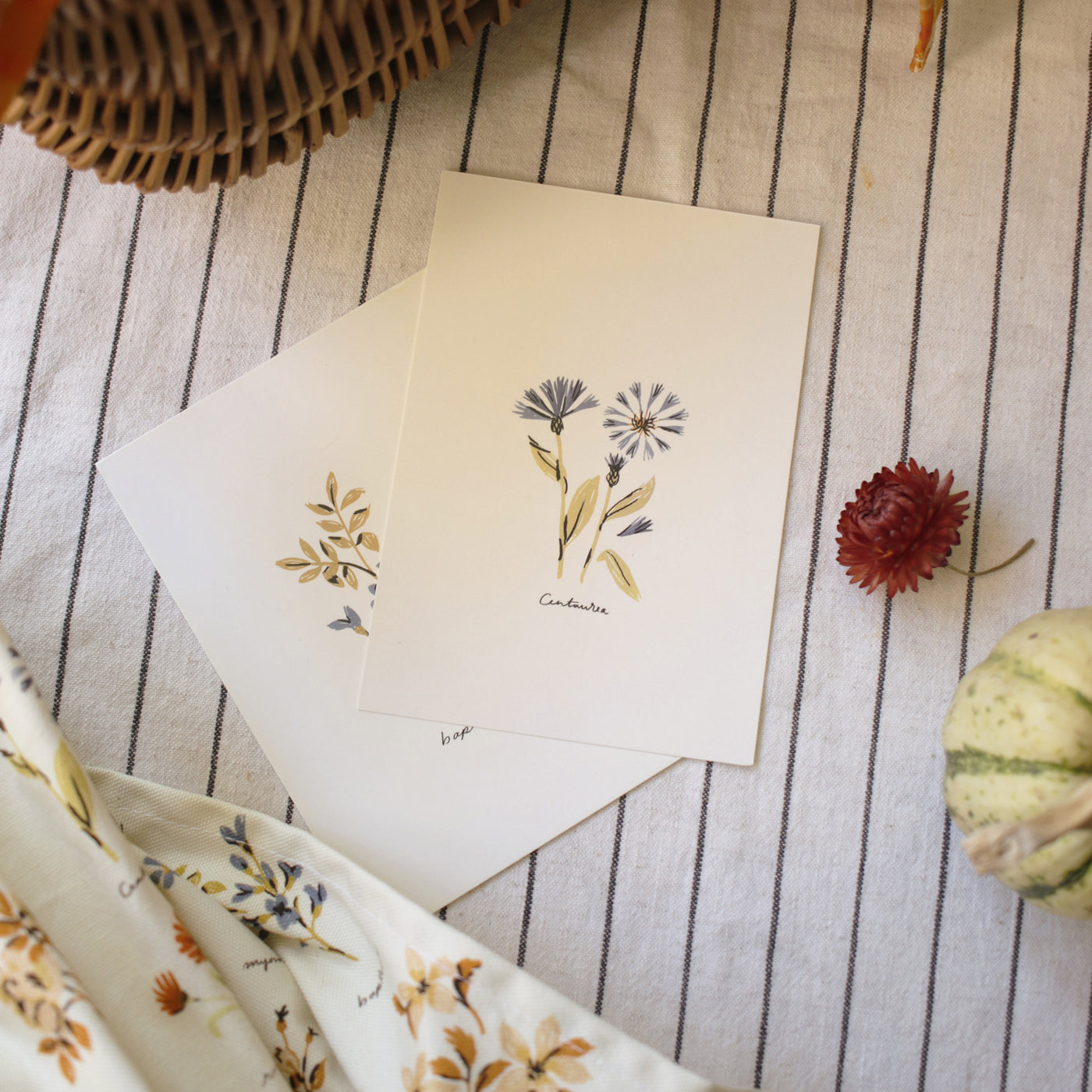 illustrated floral set of postcards